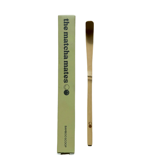Bamboo Scoop