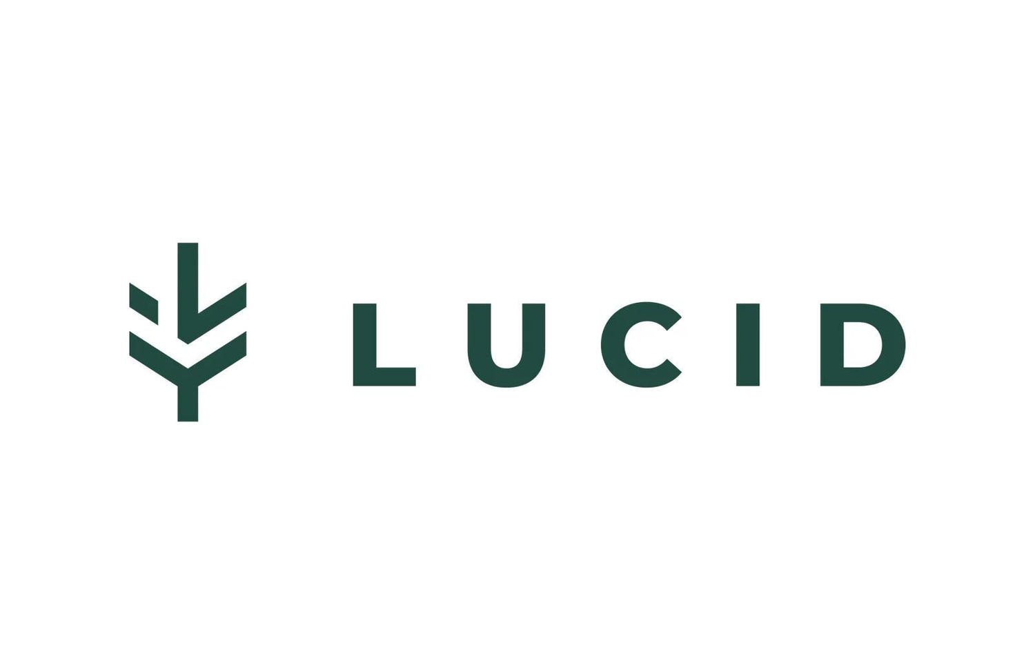 Lucid