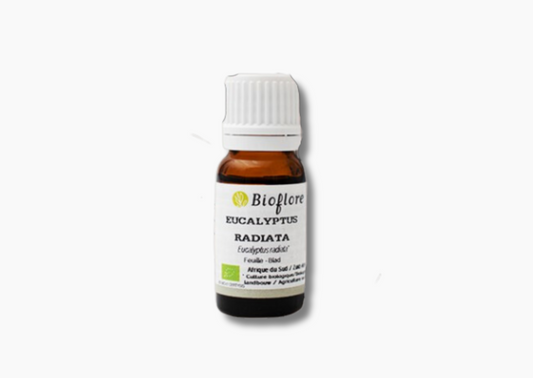 Essential oil - Radiated Eucalyptus